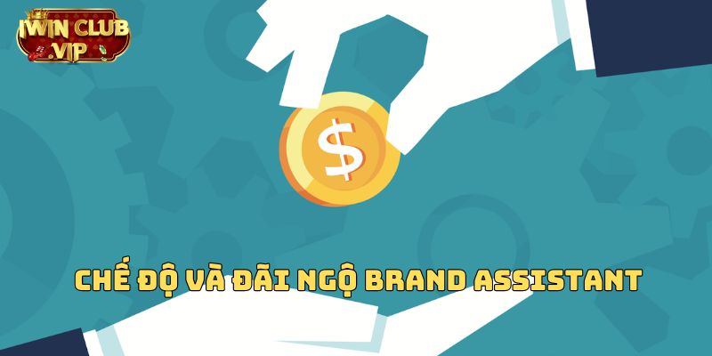 Chế độ và đãi ngộ Brand Assistant